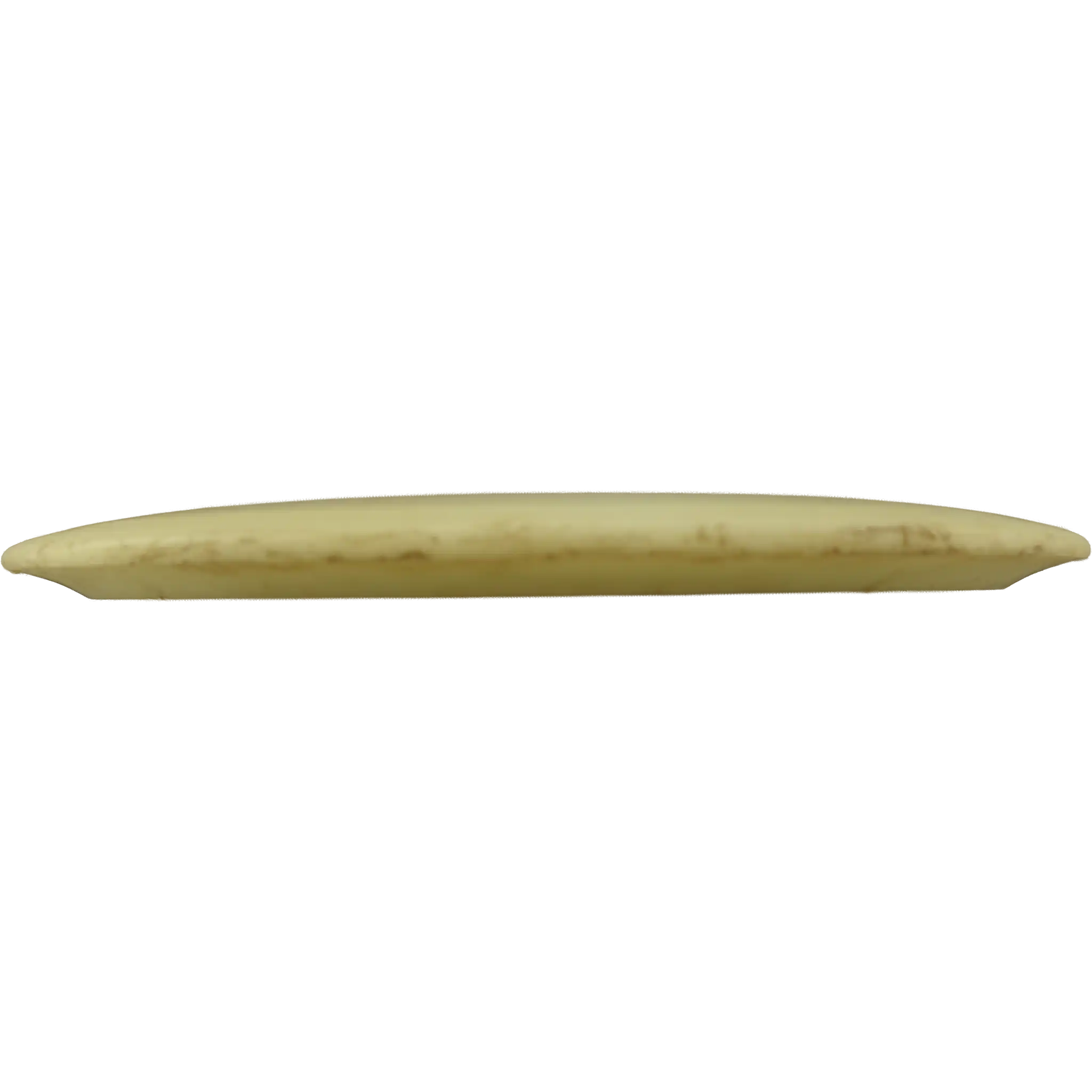 Opto Explorer - Ricky Wysocki