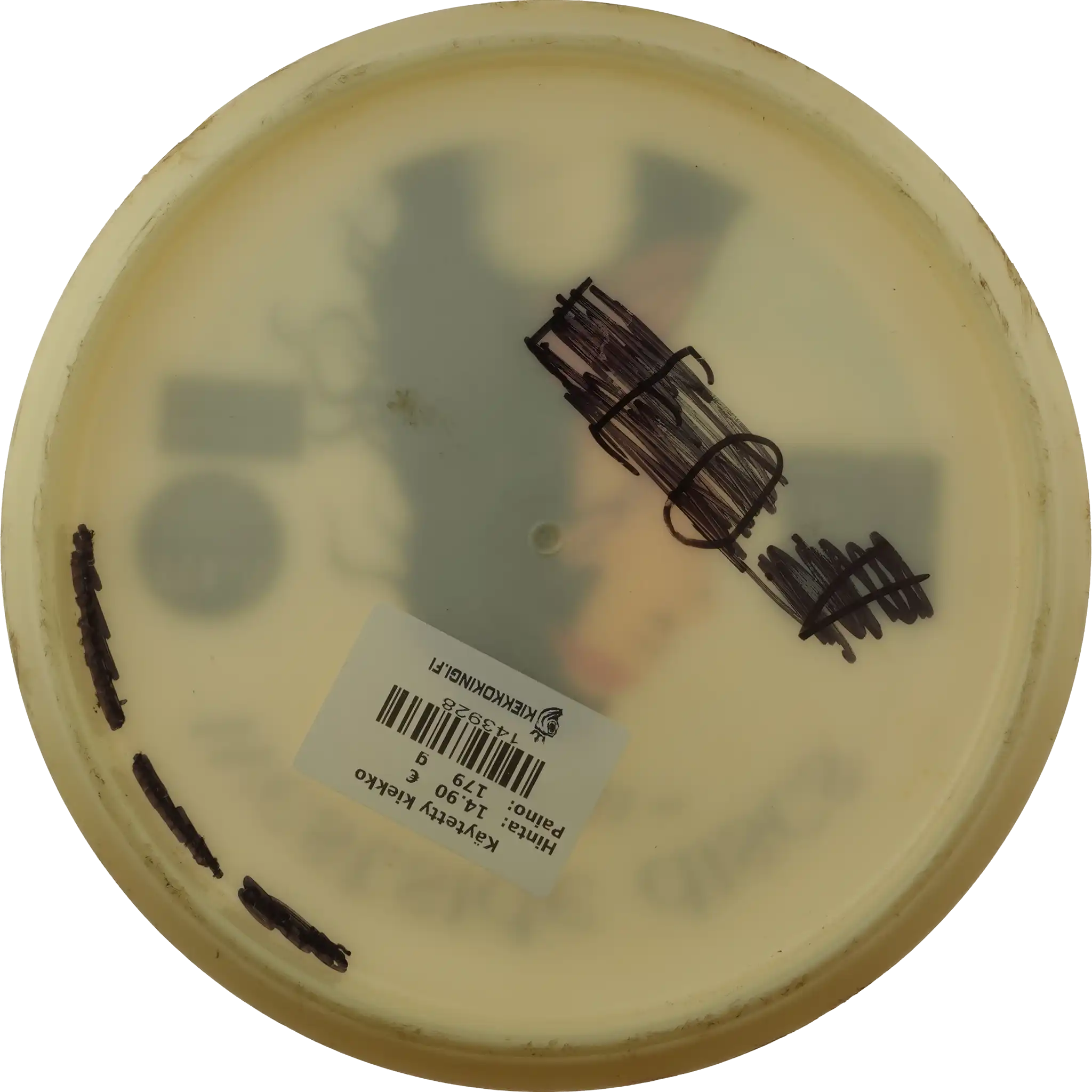 Decodye Tournament Laulaja